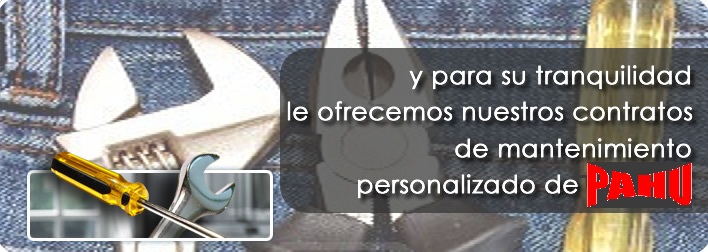servicio mantenimiento Pahu